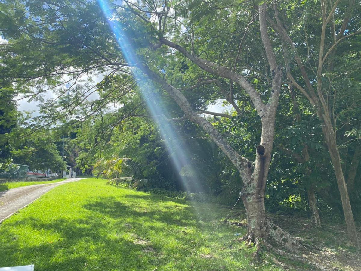 The Serene House Bed & Breakfast Luquillo Esterno foto
