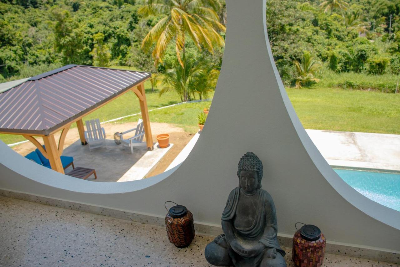 The Serene House Bed & Breakfast Luquillo Esterno foto
