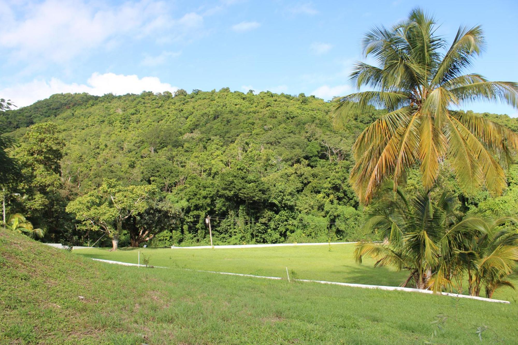 The Serene House Bed & Breakfast Luquillo Esterno foto
