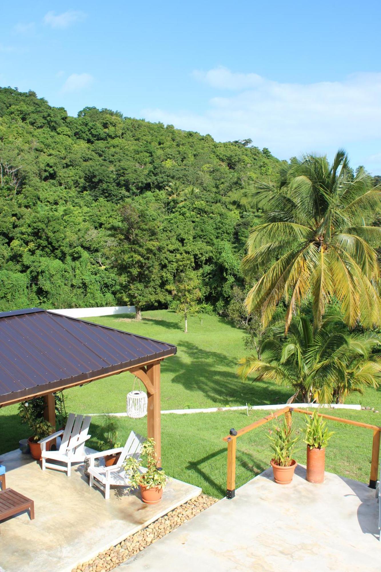The Serene House Bed & Breakfast Luquillo Esterno foto