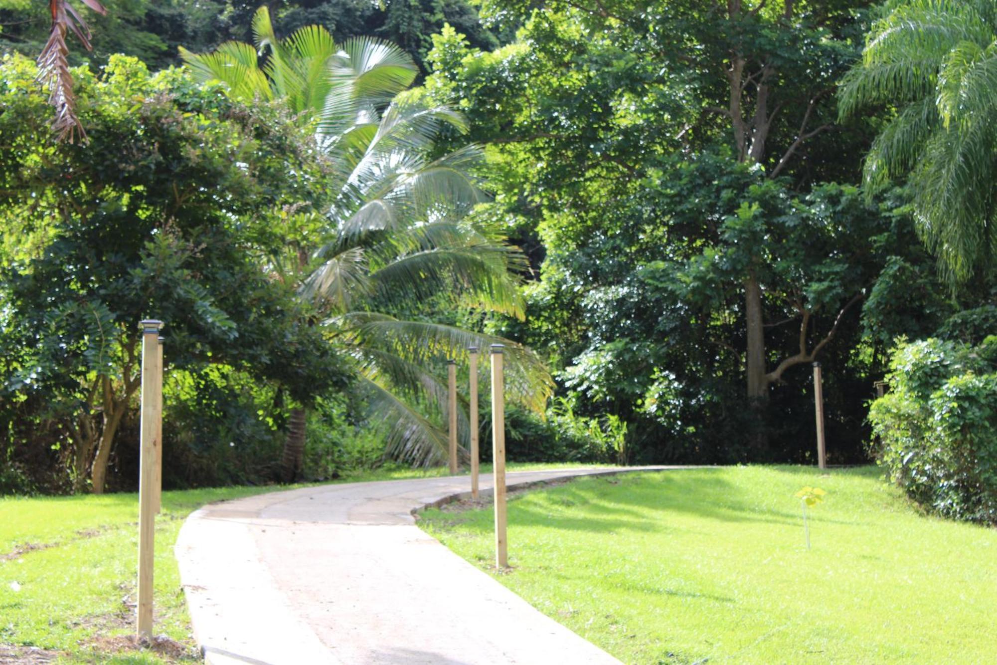 The Serene House Bed & Breakfast Luquillo Esterno foto