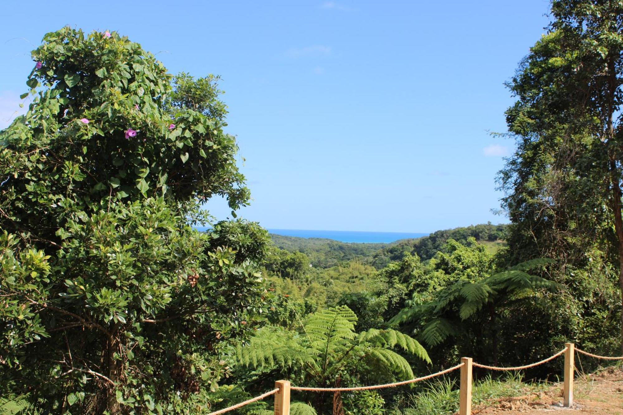 The Serene House Bed & Breakfast Luquillo Esterno foto