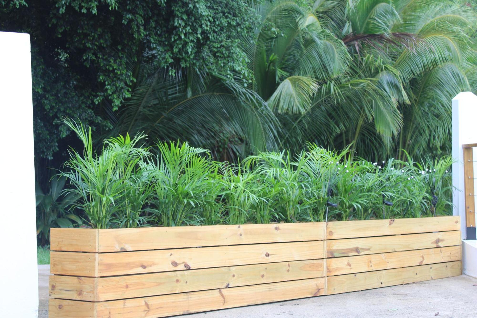 The Serene House Bed & Breakfast Luquillo Esterno foto